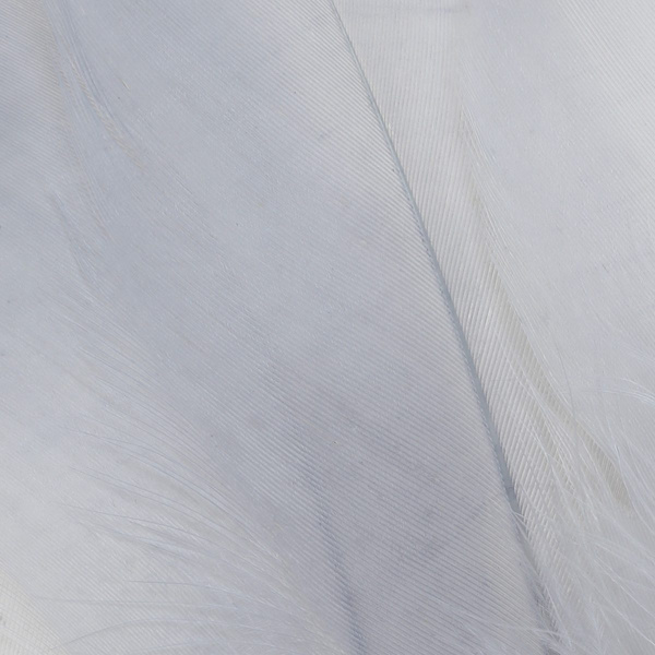 FFGene Goose Shoulders