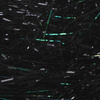 Large - Black