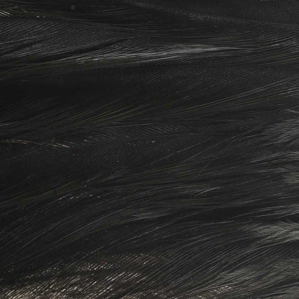 Ewing Deceiver Patch Dyed