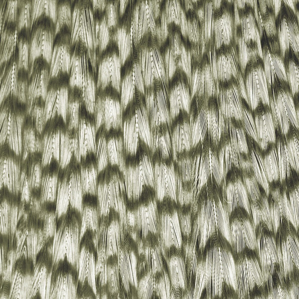 Ewing Grizzly Half Capes