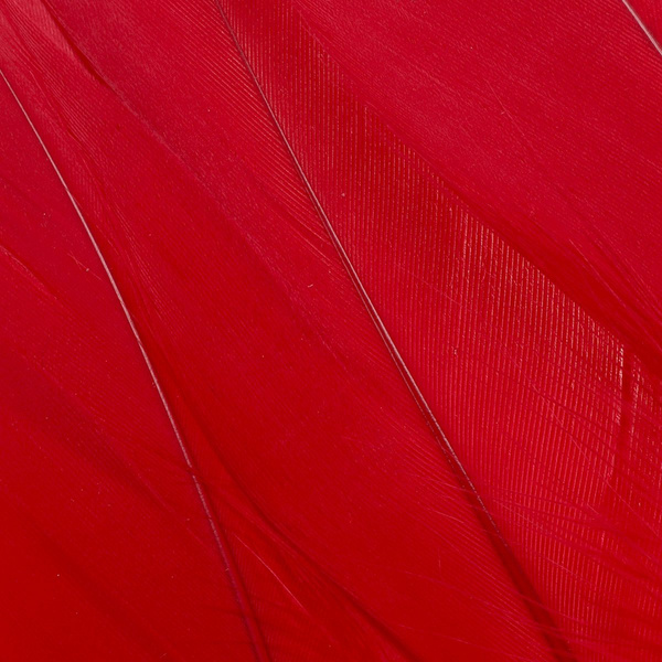 FFGene Goose Shoulders