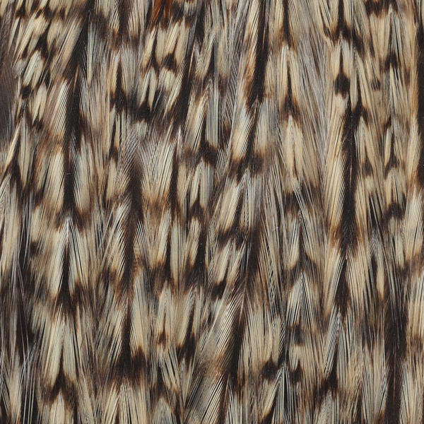 Wapsi Dry Fly Rooster Necks