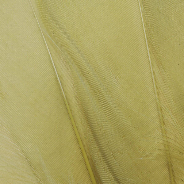 FFGene Goose Shoulders