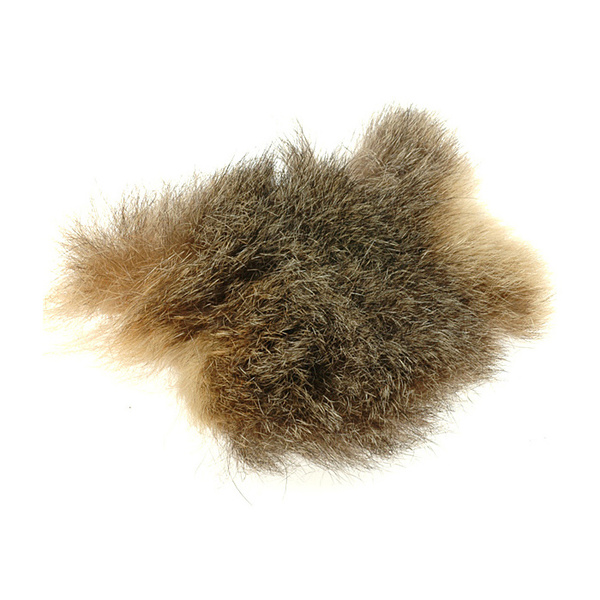 FFGene Australian Opossum