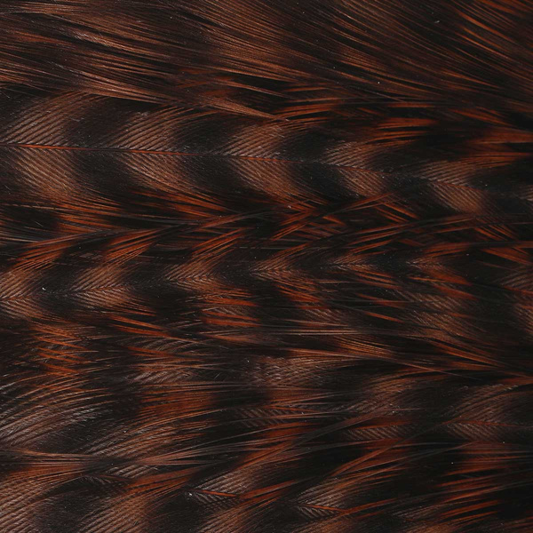 Ewing Deceiver Patch Dyed