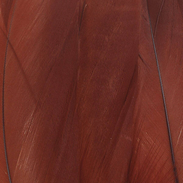 FFGene Goose Shoulders