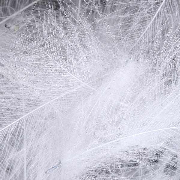 FFGene CDC Feathers Natural Colors Selected One by One