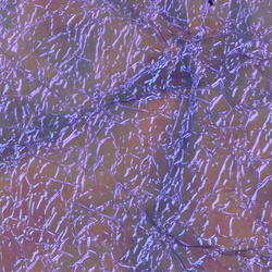 Sybai Fine UV Flash Back