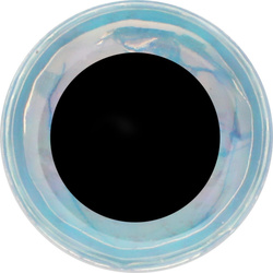 Oczy do sztucznych much FFGene Soft 3D- Eyes