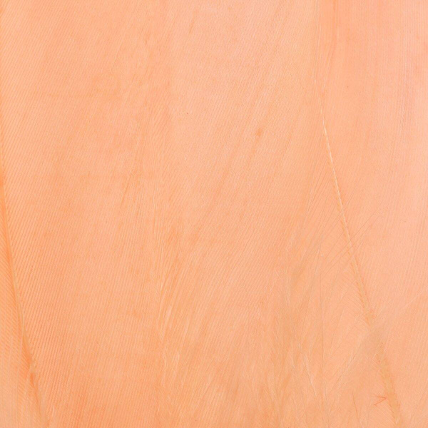 FFGene Goose Shoulders