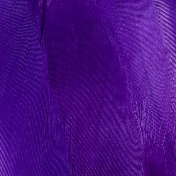 FFGene Goose Shoulders