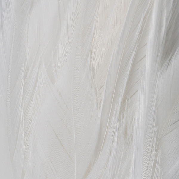 FFGene Strung Saddles Hackle