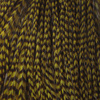 Grizzly Olive