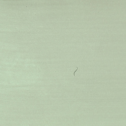 Hareline Medium Crystal Skin