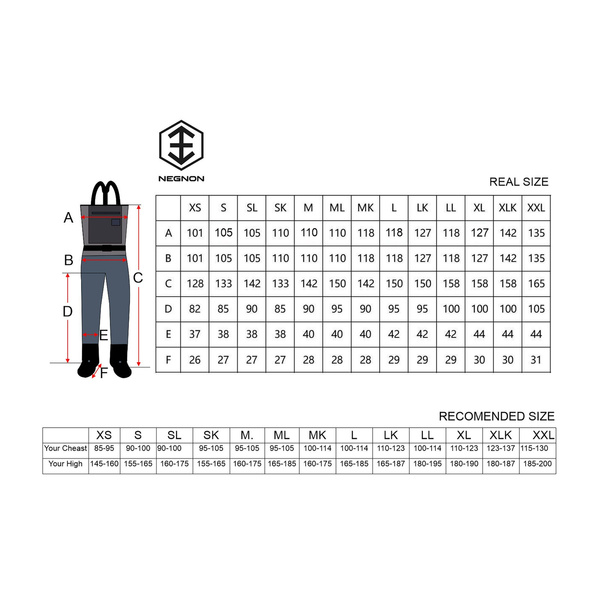 Wodery Negnon Gamma Velorum
