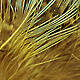 Golden Yellow