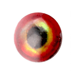 Oczy do sztucznych much H2O Lightweight Rainbow Dumbells