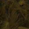 dark olive