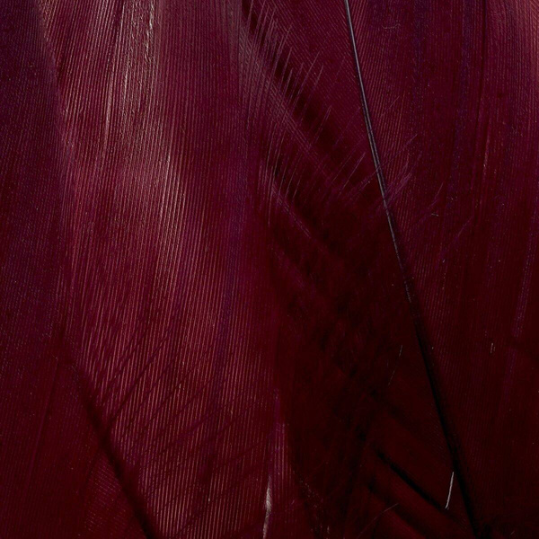 FFGene Goose Shoulders