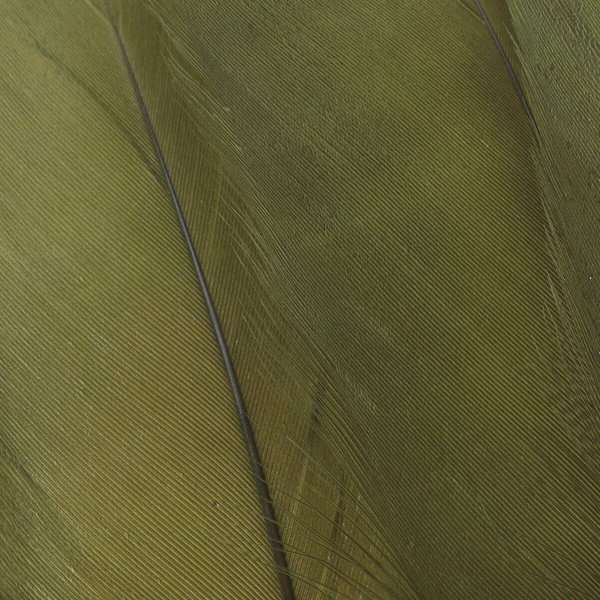 FFGene Goose Shoulders