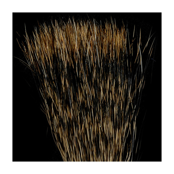 FFGene Tinted Micro Tail