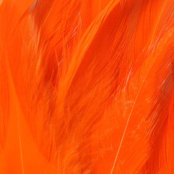 FFGene Strung Saddles Hackle