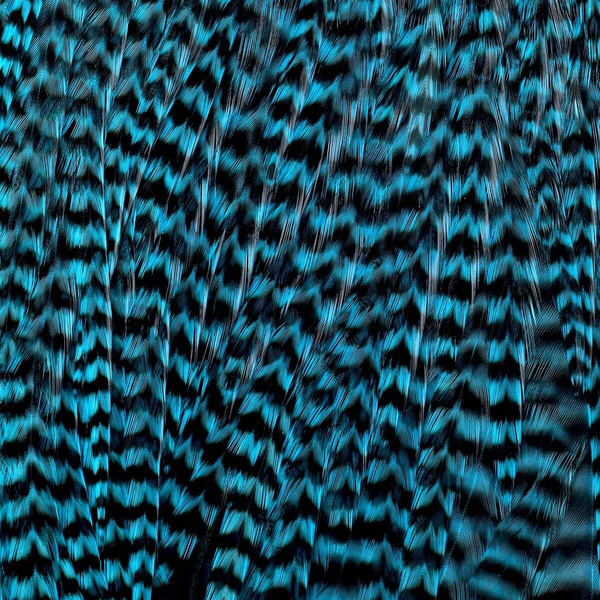 Ewing Grizzly Whole Saddles