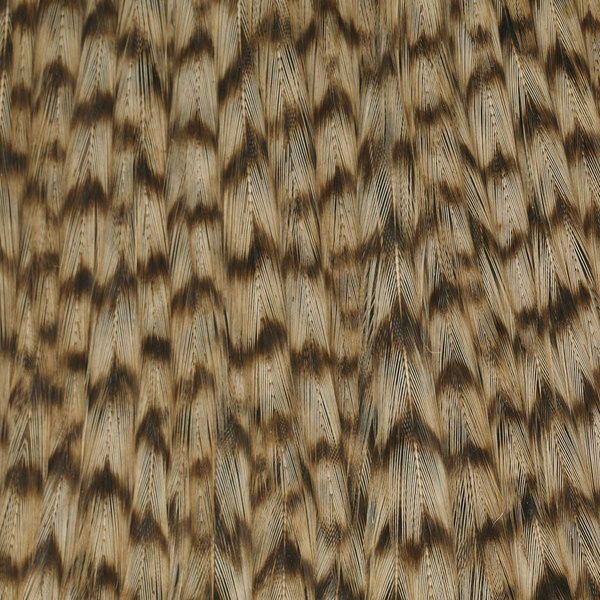 Ewing Grizzly Half Capes