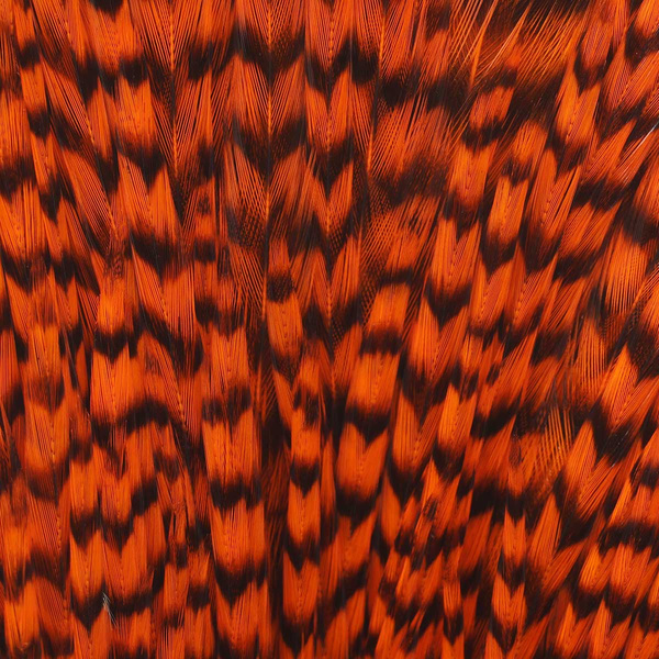 Ewing Grizzly Half Capes