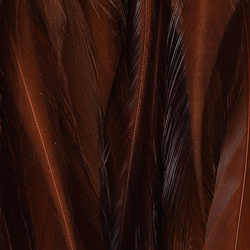 Hareline Strung Chinese 5-7 Saddle