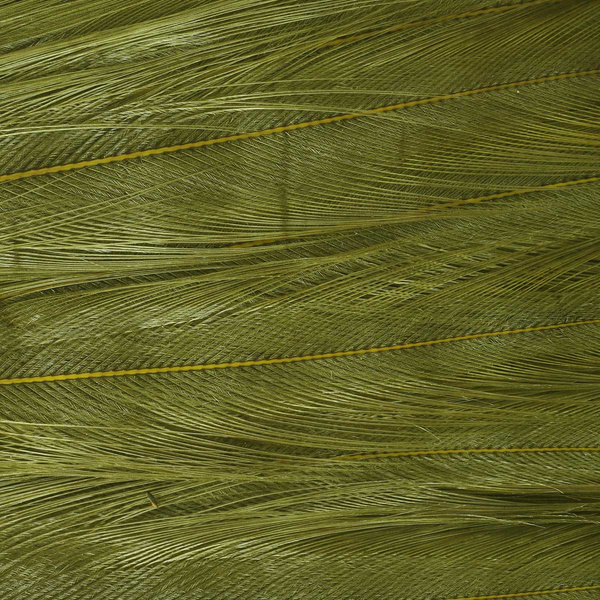 Ewing Deceiver Patch Dyed