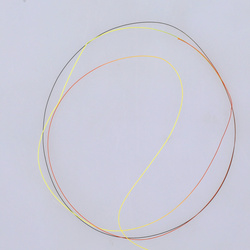 Żyłka przyponowa Negnon Two Tones Euro Nymphs