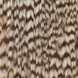 Ewing Top Capes Dyed