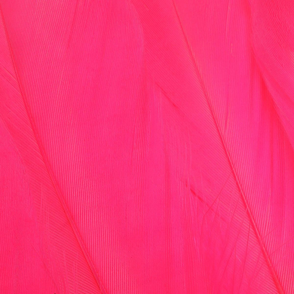 FFGene Goose Shoulders