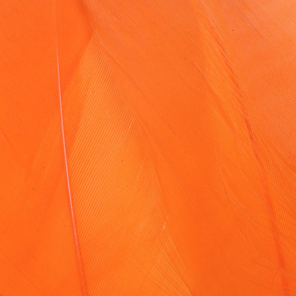 FFGene Goose Shoulders