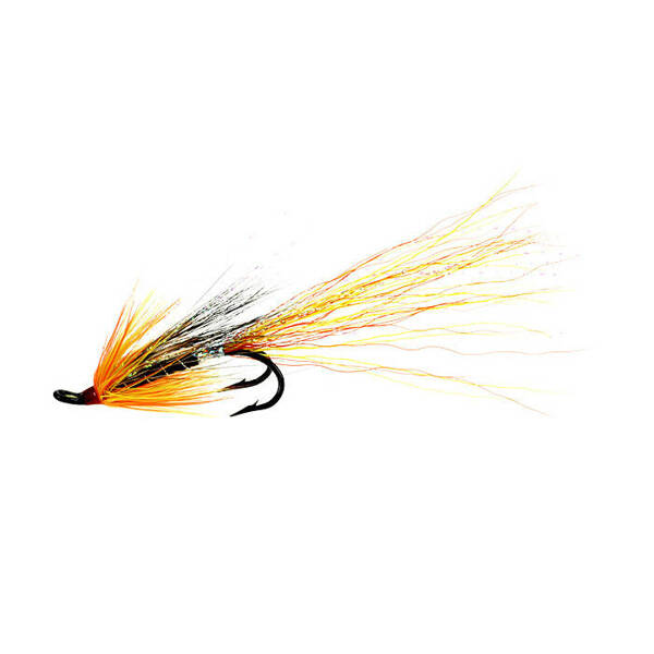 Cascade Double Salmon