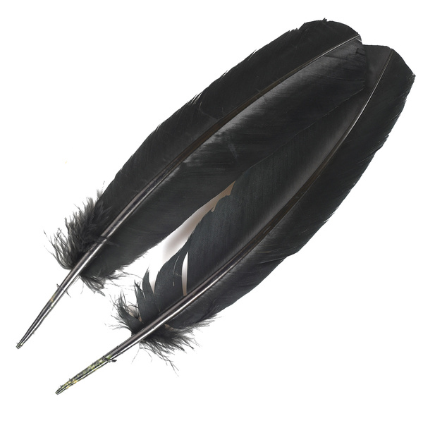 FFGene Turkey Wing Quill