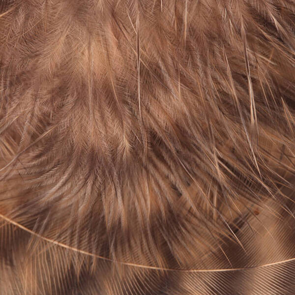 Hareline Grizzly Soft Hackle