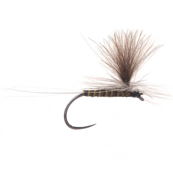 Parachute CDC BWO