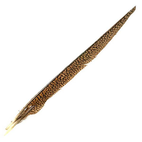 Wapsi Golden Pheasant Tail Piece